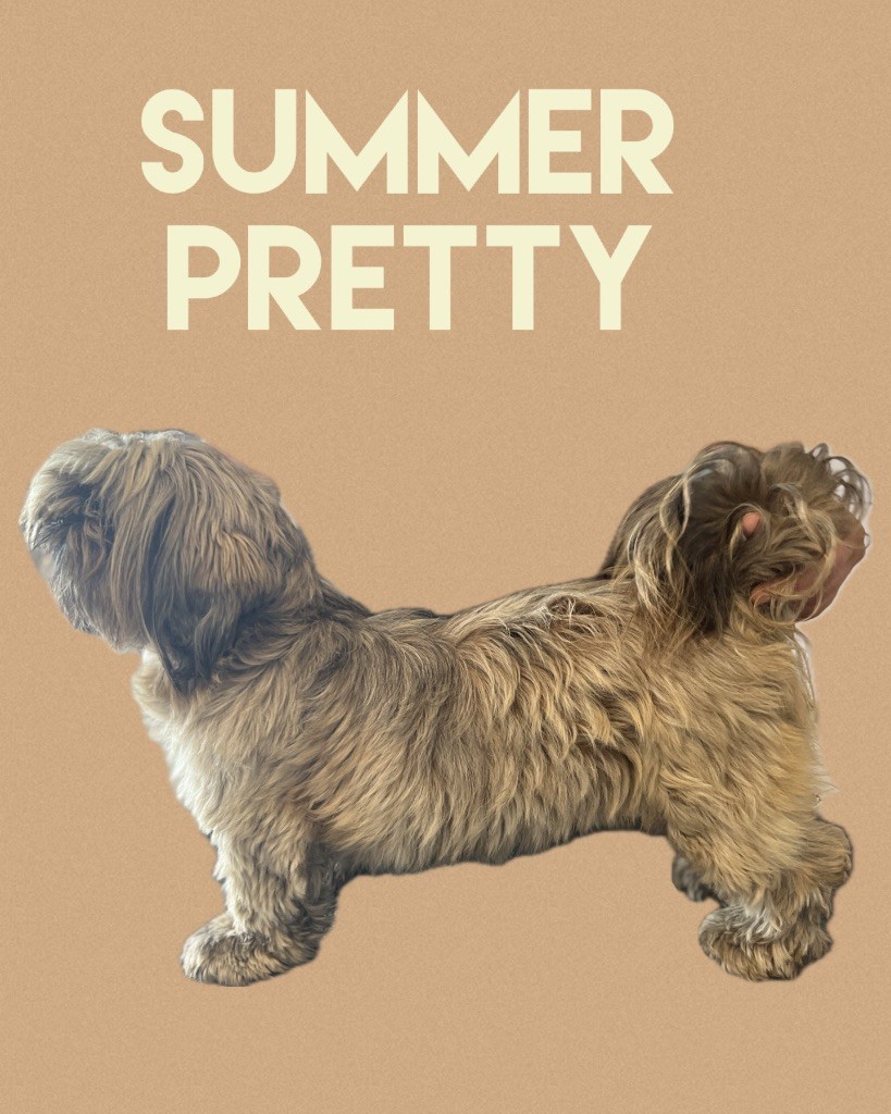 Summer pretty the Dynasty of Royaume de Laurie