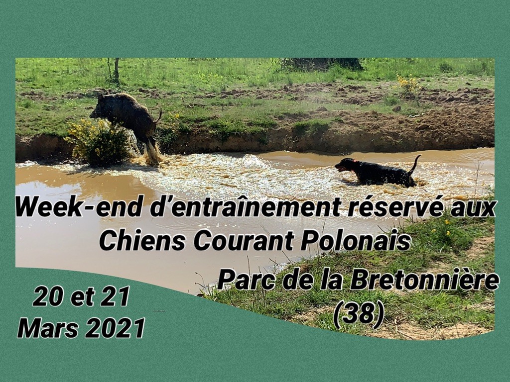Du Royaume D'Adès - Week-end de travail 20 et 21 Mars 2021