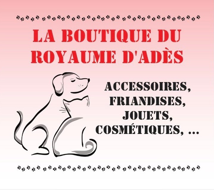 NOUVEAU UNE BOUTIQUE EN LIGNE 