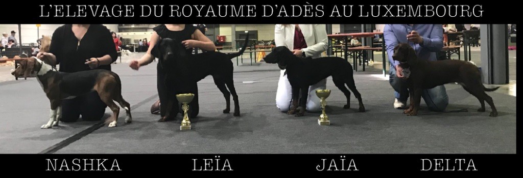 Du Royaume D'Adès - Lucrèce dit Leïa devient Championne du Luxembourg